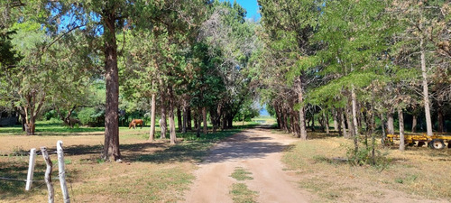 Campo 383 Ha En Conlara Merlo Lafinur San Luis. Con Riego Y Natural. Para Cría, Engorde, Tambo.