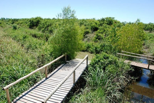 Imagen 13 de 30 de Lote Al Rio Cabaña En Delta Tigre
