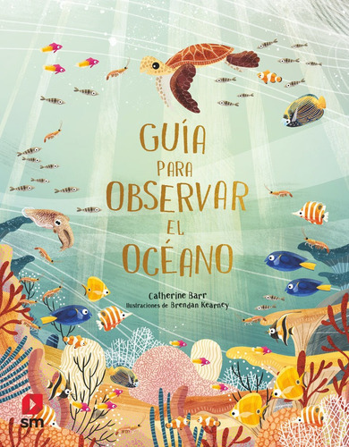 Guia Para Observar El Oceano, De Barr, Catherine. Editorial Ediciones Sm, Tapa Dura En Español