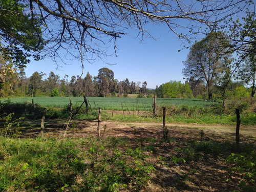 Hermosa Parcela En Venta En Gorbea