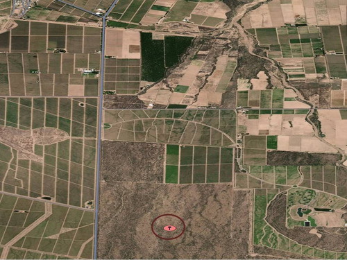 Imagen 7 de 7 de Venta De Campo, Lujan De Cuyo, Mendoza
