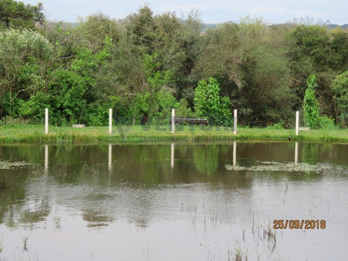 Imagem 11 de 15 de Chacara - Campina - Ref: 2046 - V-2046