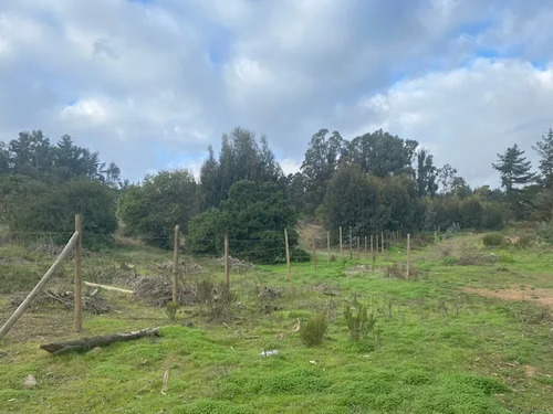 Sitio En Los Pinos