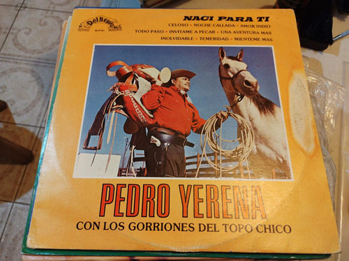Pedro Yerena Los Gorriones De Topo Vinyl,lp,acetato Oferta1