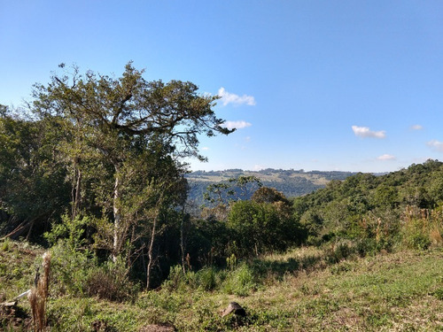 Chácara 20.000 M² - Lomba Grande - Novo Hamburgo - Rs - 1819 - 32578114