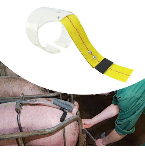 Cubierta De Inseminación De Cerdo Para Cerdas, Equipos De