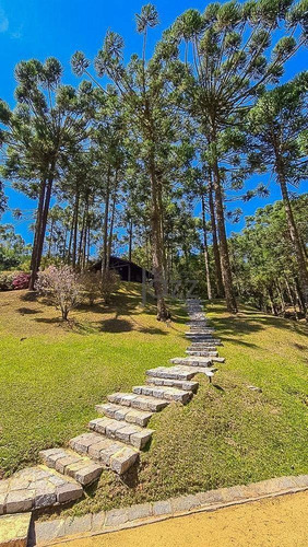 Maravilhoso Rancho De 90 Hectares - Ch0464