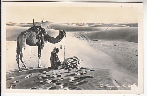 Antigua Postal Egipto Plegaria En Desierto Nativos Y Camello
