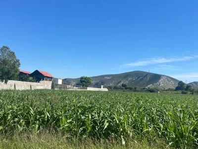 Terreno en venta