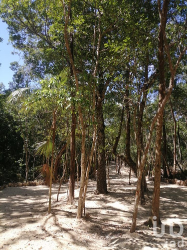 Venta Terreno 0 Ambiente Ciudad Chemuyil