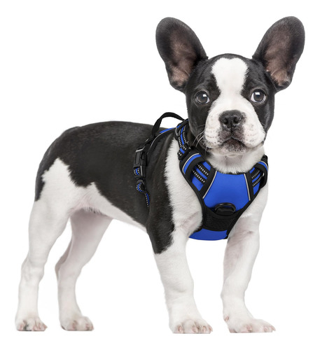 Arnés Para Perros Rabbitgoo Sin Tirones, Ajustable En Forma
