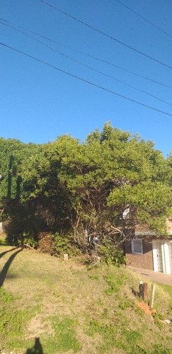 Imagen 7 de 14 de Lote Multifamilar 150 Mts Del Mar