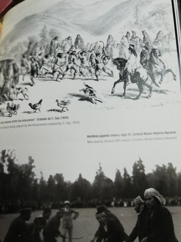 Mapuche, Semillas De Chile (Usado)
