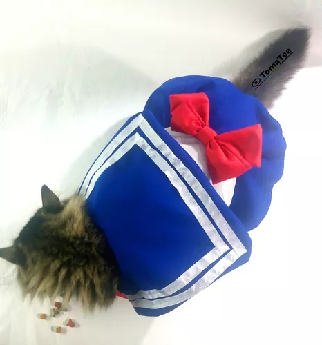 Ropa Buzo Vestido Gato Mascota