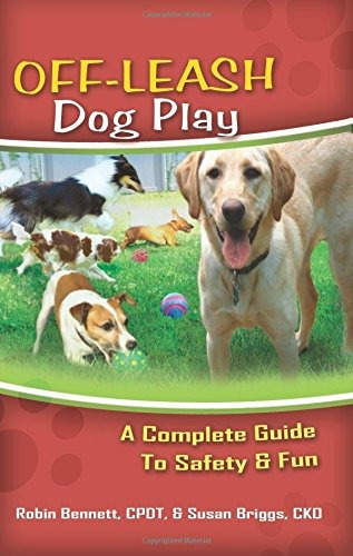 Offleash Dog Play A Complete Guide To Safety  Y  Fun