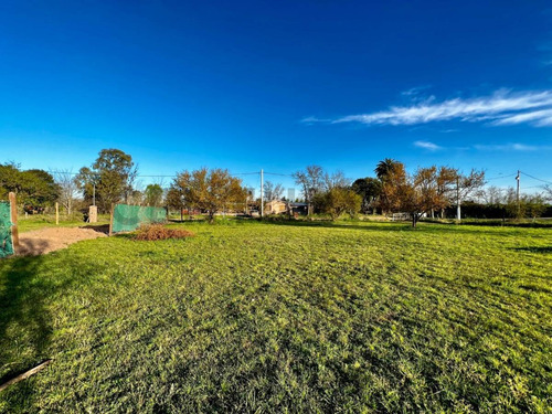 Venta Terreno 550m² En Luis Palacios