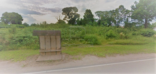 Imagem 11 de 15 de Terreno Comercial - Sangao - Ref: 30533 - V-30531