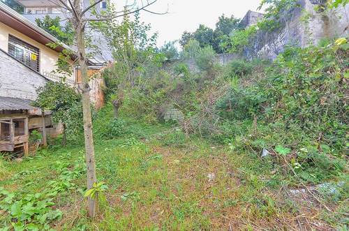 Imagem 12 de 19 de Terreno - Comercial/residencial - 931803