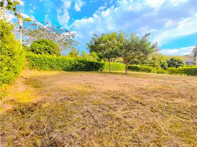 Lote y casalote en venta