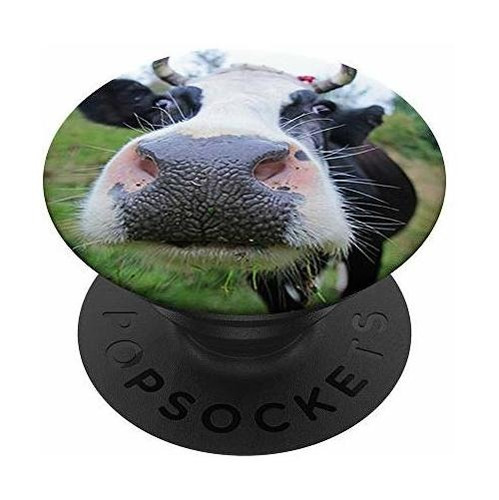 Super Funny Cow Face Big Eyes Photo Farm Animal Gift Y9gre