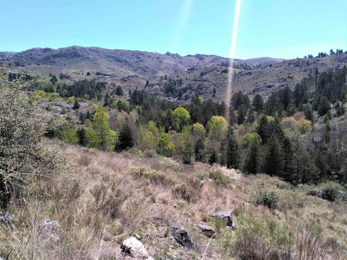 Imagen 3 de 22 de Venta! Lote 3524m2 Con Costa De Rio! La Cumbrecita, Peñon Del Aguila!