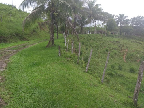 Imagem 3 de 30 de Fazenda - Fa00003 - 34856184