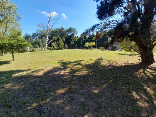 Imagen 8 de 11 de Lote Con Vivienda En Paraje Pavon (210)