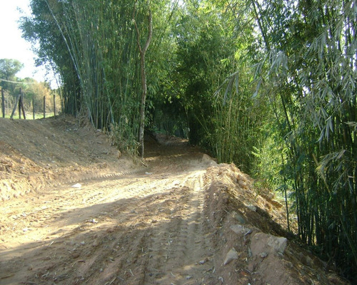 Imagem 4 de 9 de Sítio À Venda Em Jardim Monte Verde - Si000914