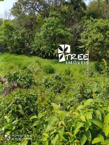 Imagem 1 de 5 de Venda De Terreno Raposo Tavares Km 39/são Paulo Com A/t 1.410m². Consulte-nos - Te00806 - 69910131