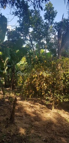 Imagem 15 de 15 de Chácara Para Venda Em Cajamar, Ponunduva, 3 Dormitórios, 1 Suíte, 2 Banheiros - 21474_1-1923961