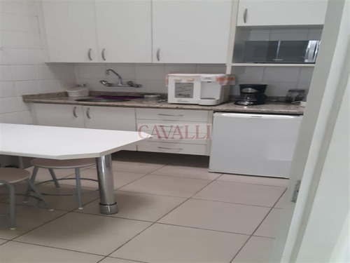 Imagem 9 de 21 de Excelente Comercial Com 550 Mts - 4806