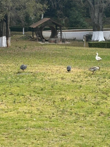 Terreno En Venta En Jilotepec