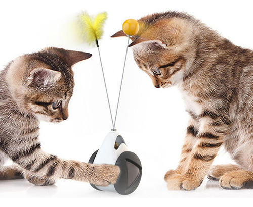 Juguete Para Gatos Balance Swing Car Con Bola De Hierba Gate