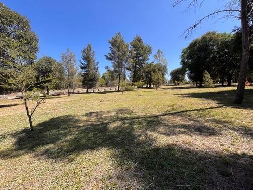 Lotes En Venta Villa General Belgrano El Bosquecillo Cód 2144