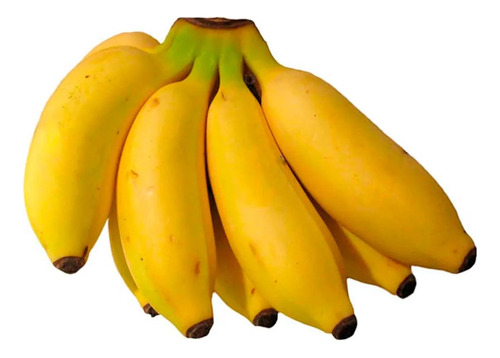 Semilla De Vástago De Banano Manzanito