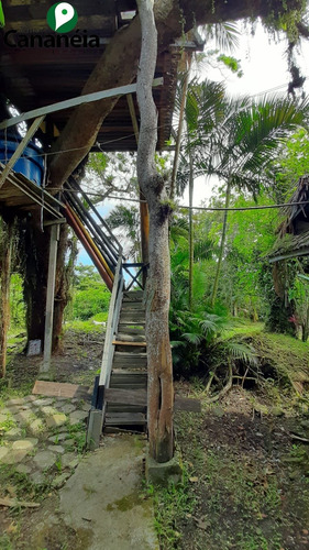 Imagem 23 de 25 de Ótimo Terreno Com 1.150,00 M² No Jardim Candairó - Cananéia - Litoral Sul De Sp - Te00087 - 70424942