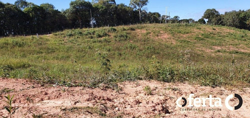 Imagem 8 de 10 de Chacara - Bugre - Ref: 709 - V-709