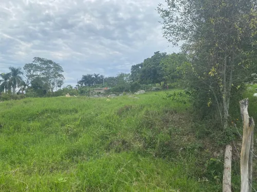 Lote En Venta En El Rosario. Cod V16286