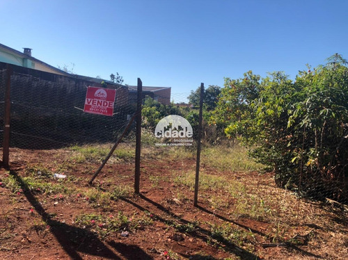 Imagem 1 de 3 de Terreno À Venda, Cancelli - Cascavel/pr - 11340