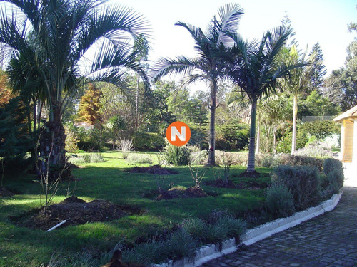 Excelente Negocio, Precio Rebajado, Venta 4.000 Metros De Tierra.- Ref: 216273