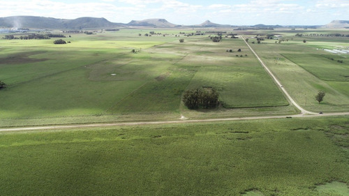 Imagen 14 de 30 de Quinta De 8 Has. A 1.800 Mts Ruta 226 - 100 % Agrícola