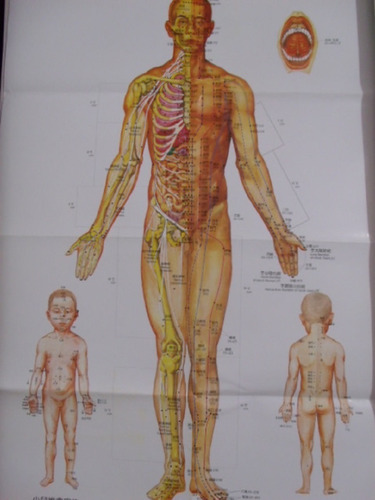 Set De 3 Afiches De Acupuntura