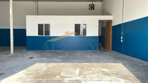 Imagen 4 de 9 de Bodega En Renta En Infonavit Las Flores