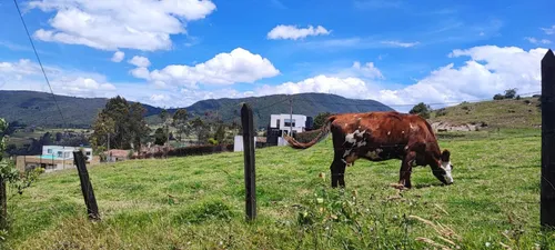 Lote En Venta En La Calera. Cod V16669
