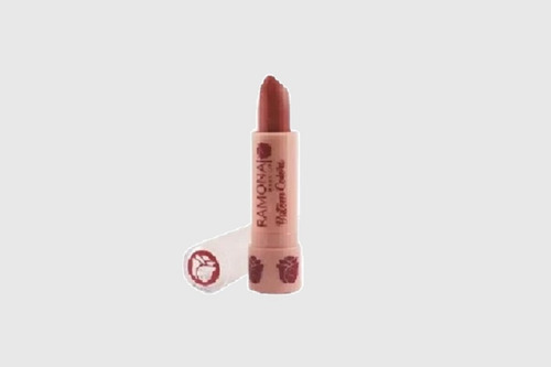 Kit 12 Batom Colors Cor 17 Mahogany 3,8gr - Ramona Make Up