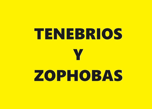 Tenebrios Y Zophobas
