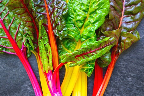 25 Semillas De Acelga Arcoiris Colores Nuevas Si Germinan