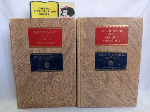 Diccionario De La Lengua Española - Rae - 2 Tomos - 1992