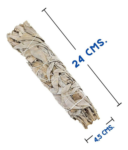 Salvia Blanca Californiana 24 Cms | Sahumerio Para Limpiezas