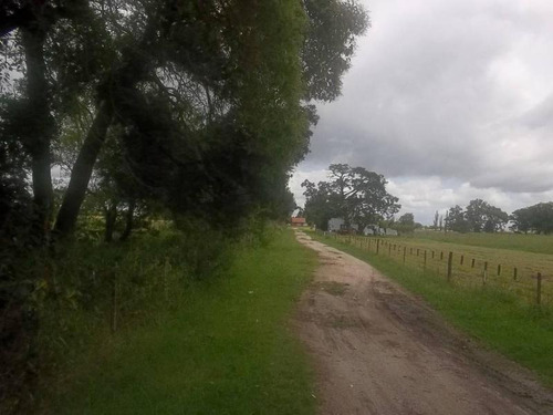 Imagen 4 de 30 de Casa-quinta En Venta En La Plata | Avda. 137 E/600y605 (16 Has)